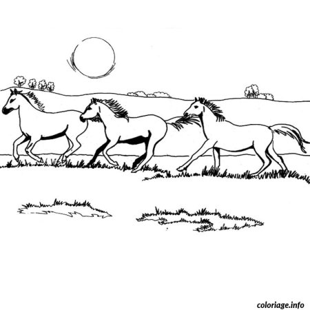 Табун лошадей раскраска для детей
