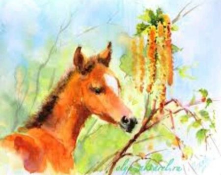 Лошадь акварелью для начинающих