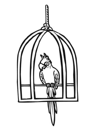 Раскраска попугай в клетке