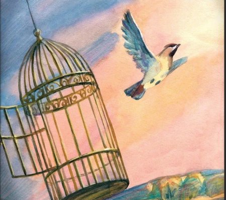 Птица вылетает из клетки