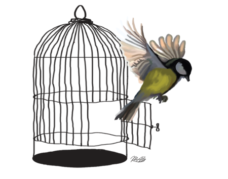 Лев Николаевич толстой птичка