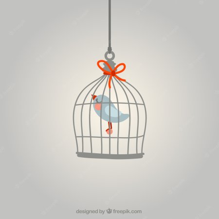 Птичья клетка с открытой дверцей