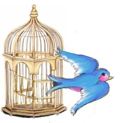 Клетка для попугая