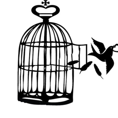 Желтая птица в клетке