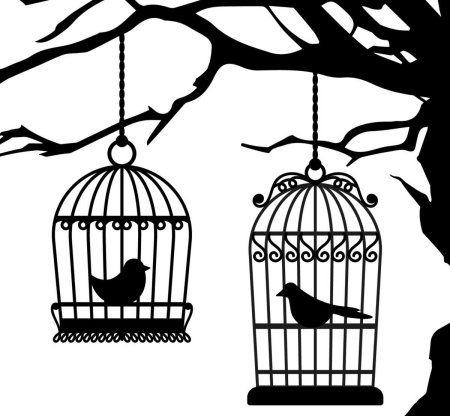 Притица залетает и вылетает из клетки