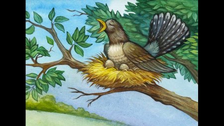 Кукушка мультяшная картинка