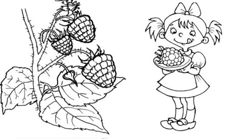 Аришка-трусишка Бианки рисунок