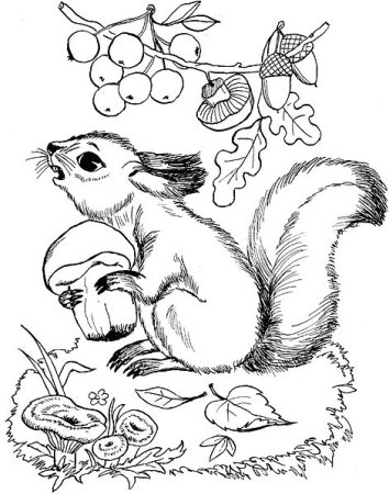 Детские рисунки зайца