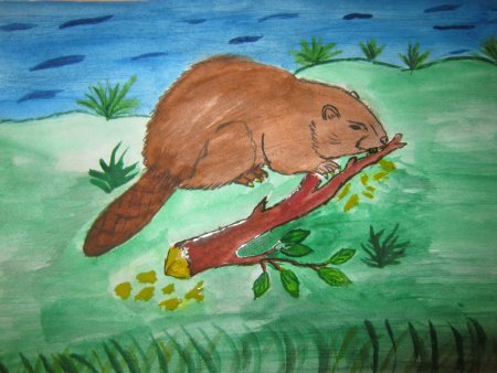 Листопадничек иллюстрации