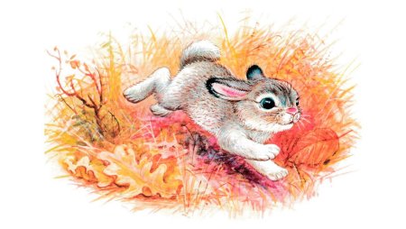 Нарисовать жилище бобра