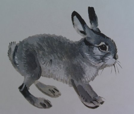 Иллюстрации к рассказу Листопадничек Соколов-Микитов