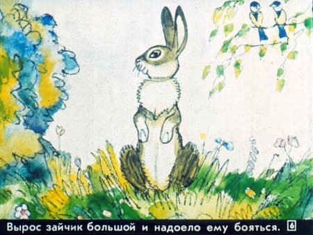 Заяц Беляк раскраска