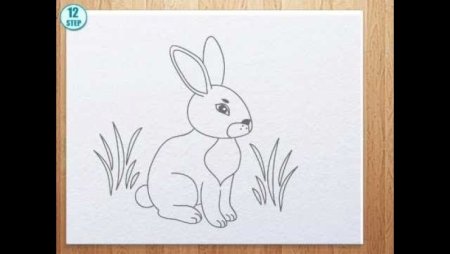 Художник-иллюстратор Галина Егоренкова