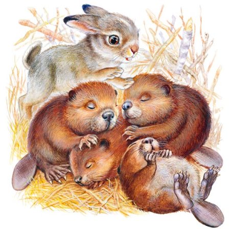 Георгий Никольский иллюстрации