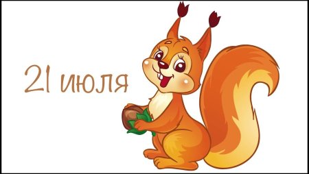 Белка на белом фоне