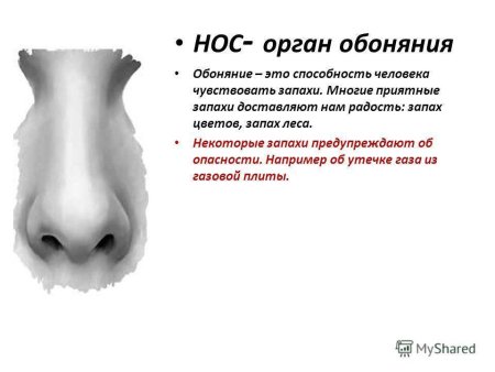 Отдельные части лица человека