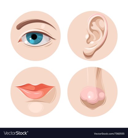 Нос мультяшный