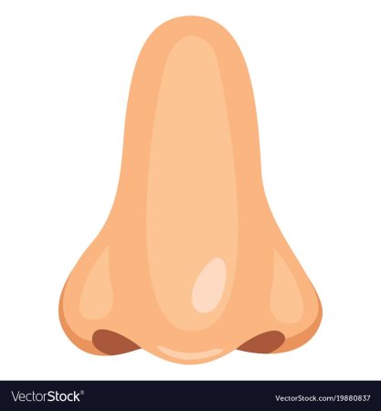 Аниме нос рисовать