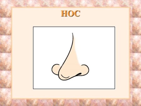 Дидактическая игра эмоции