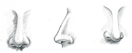 Нос рисунок