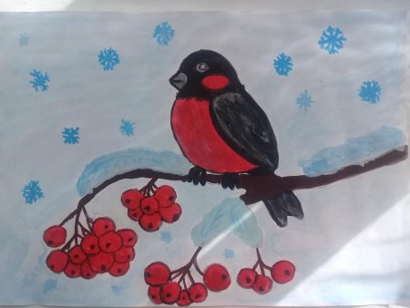 Рисование Снегирь на ветке