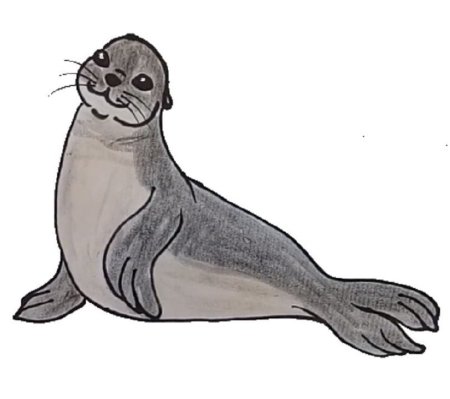 Тюлень для детей