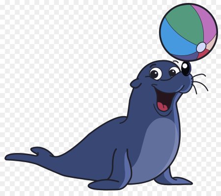 Мультяшные тюлени