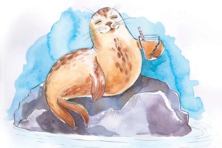 Рисование морской котик