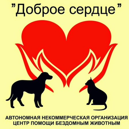 Сердце отдаю детям