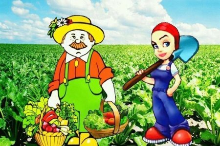Овощевод для детей