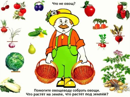 Овощи которые растут в земле