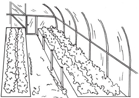 Теплица раскраска