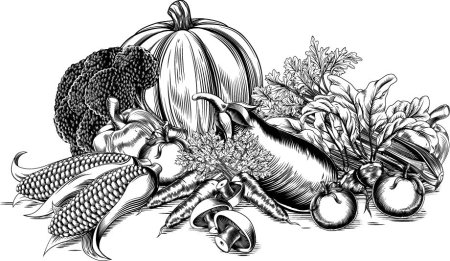 Овощи гравюра
