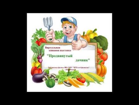 Наш веселый огород фон