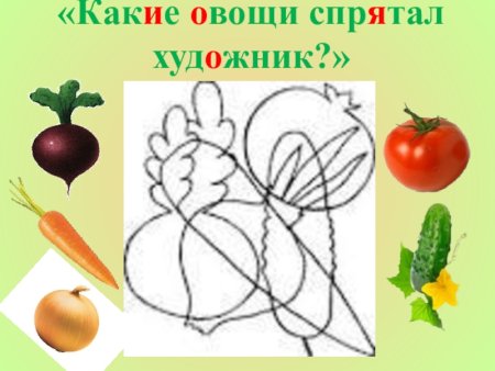 Какие овощи спрятались на картинке