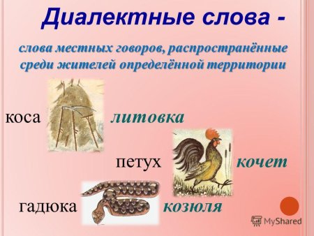 Диалекты презентация