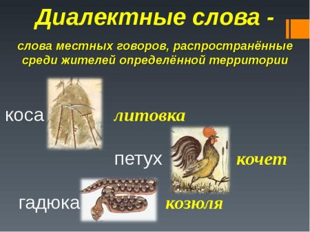 Синонимы антонимы омонимы фразеологизмы