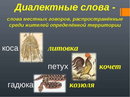 Территориальные диалекты