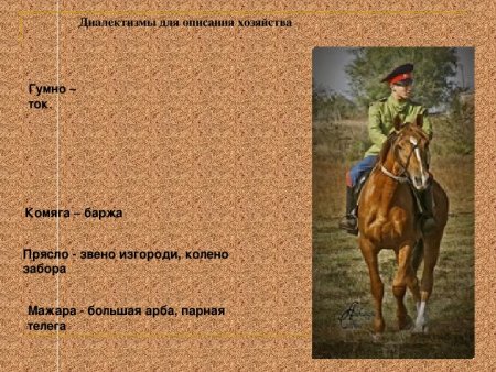 Лексика и фразеология