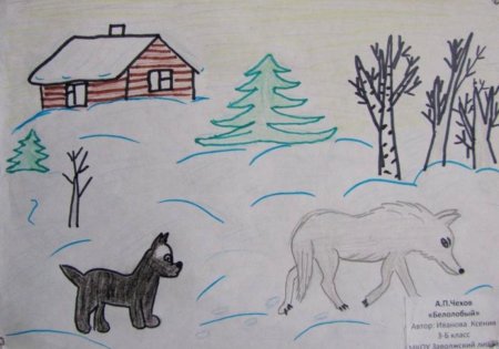 Рисунки к рассказу Чехова белолобый