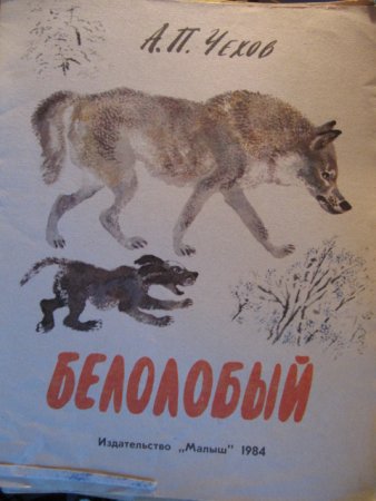 Чехов белолобый иллюстрации к рассказу