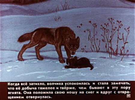Иллюстрации к рассказу Чехова белолобый