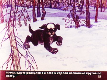 Антон Павлович Чехов белолобый