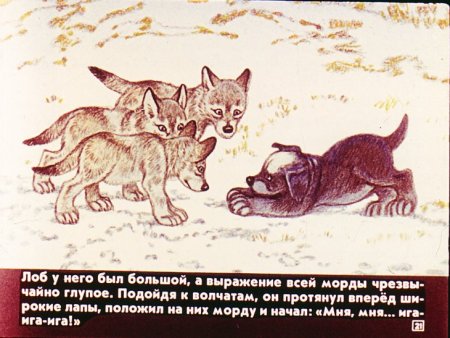 Иллюстрации к произведению Чехова белолобый