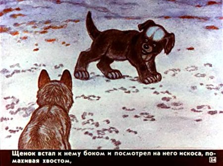 А. П. чехлов "белолобый"