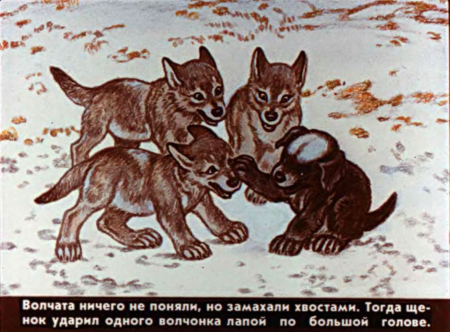 Антон Павлович Чехов белолобый