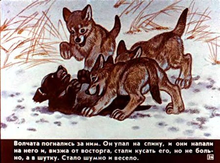 Краткое содержание Чехова белолобый