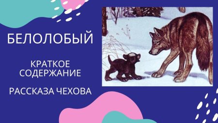 Иллюстрации к рассказу Чехова белолобый