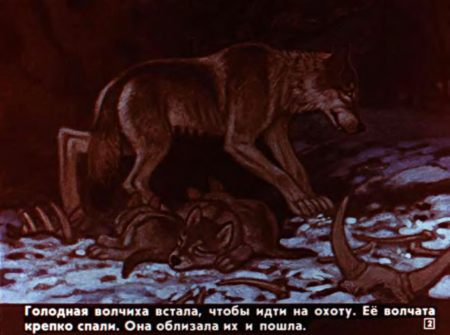 Белолобый Чехов