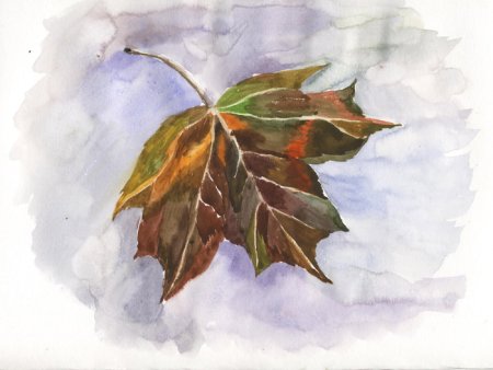 Листья деревьев акварелью